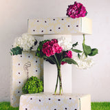 The Hortensia